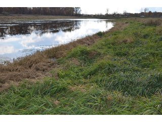 Property photo 80 - 127 Acres Offered in 8 Tracts - Allen & Dekalb County Land
